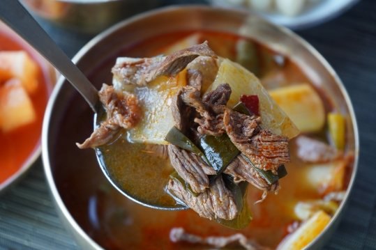 숟가락으로 뜬 국밥 건더기 — 소고기와 무
